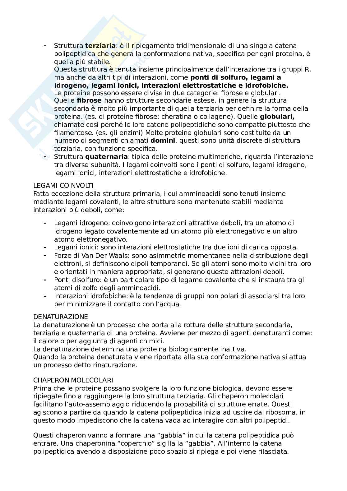 Appunti di Biologia cellulare Pag. 11