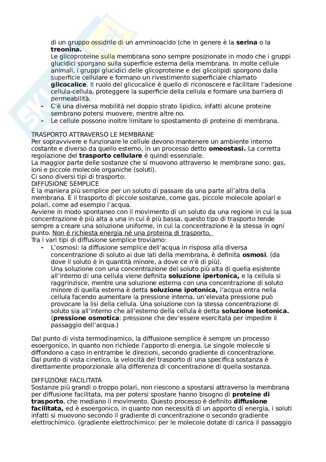Appunti di Biologia cellulare Pag. 16