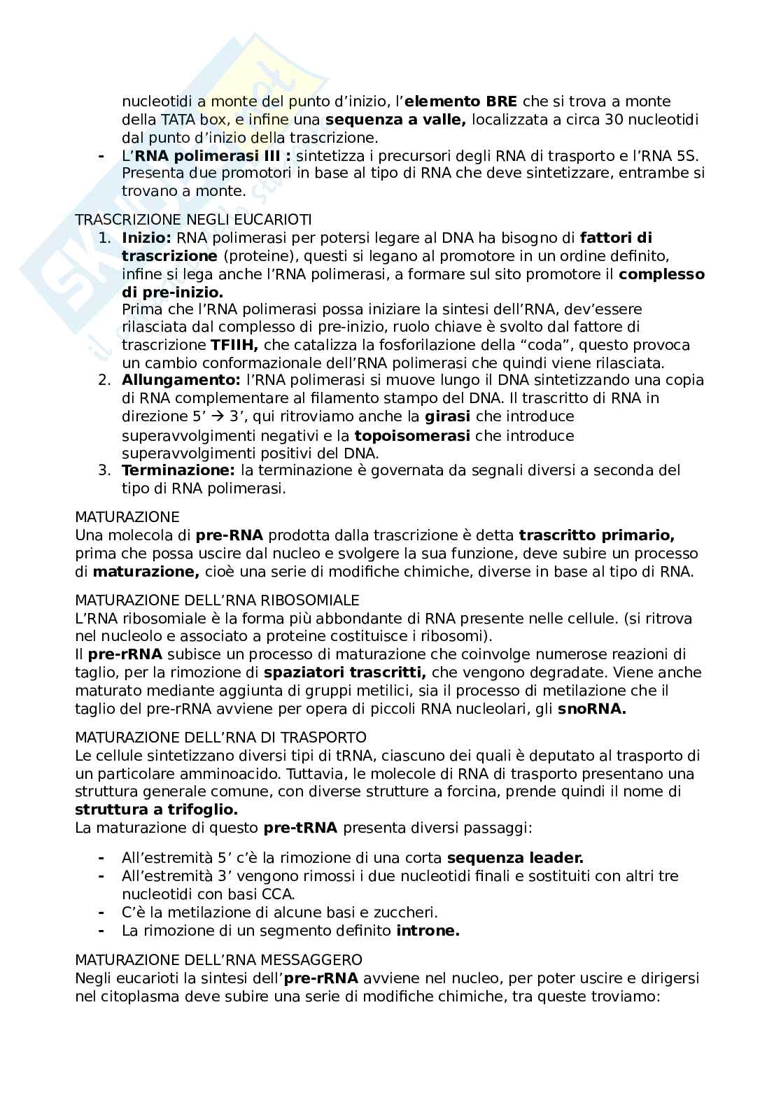 Appunti di Biologia cellulare Pag. 21