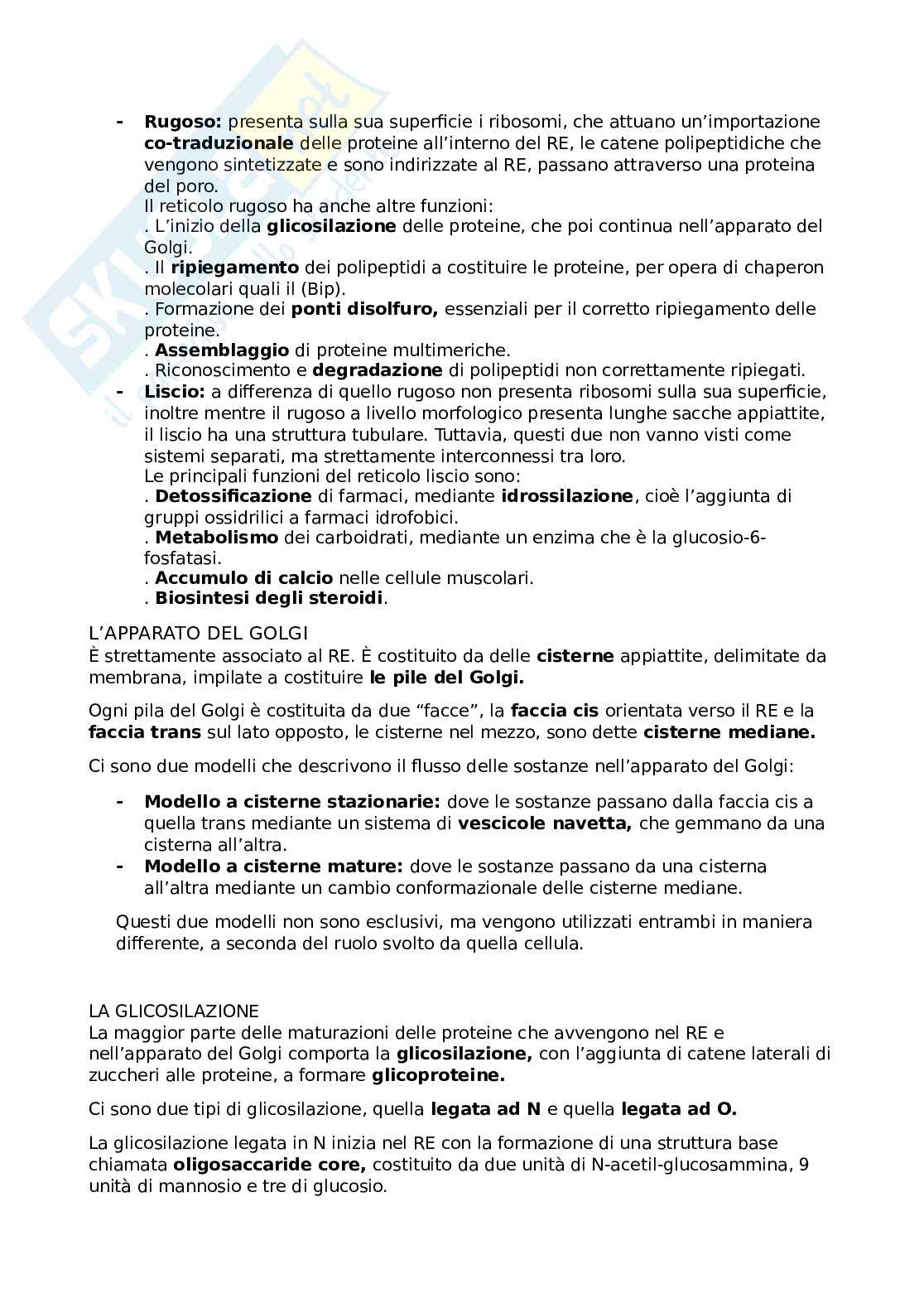 Appunti di Biologia cellulare Pag. 26