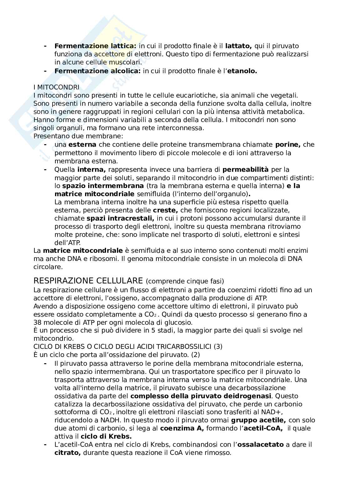 Appunti di Biologia cellulare Pag. 36