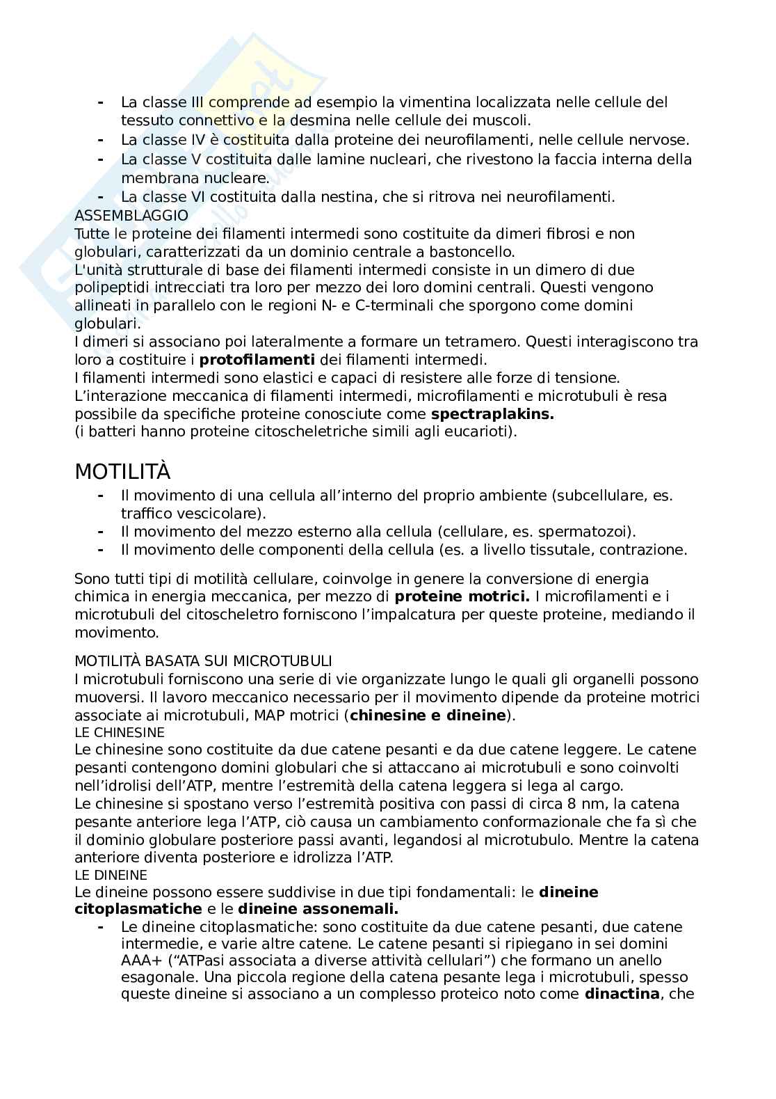 Appunti di Biologia cellulare Pag. 41