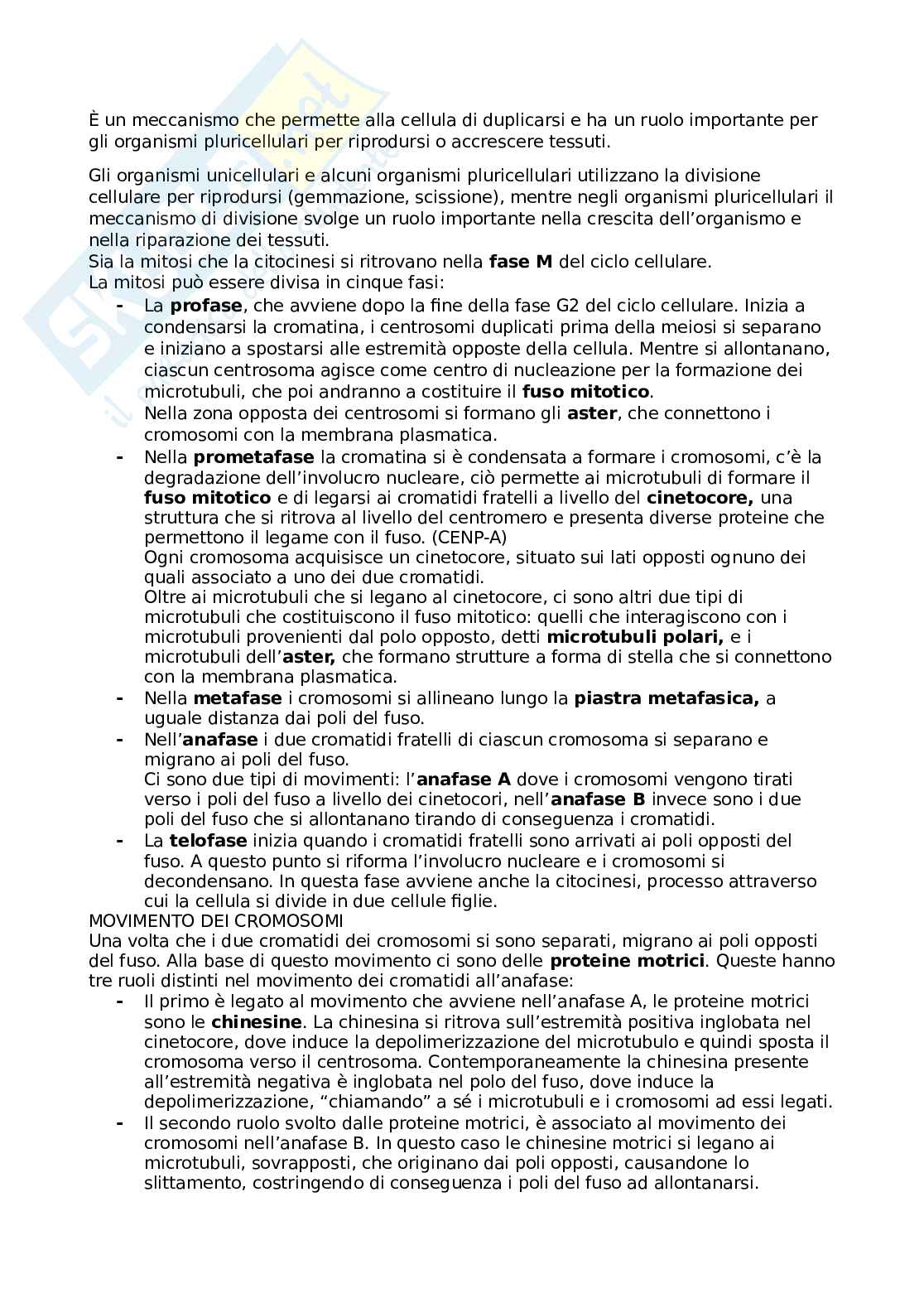 Appunti di Biologia cellulare Pag. 46