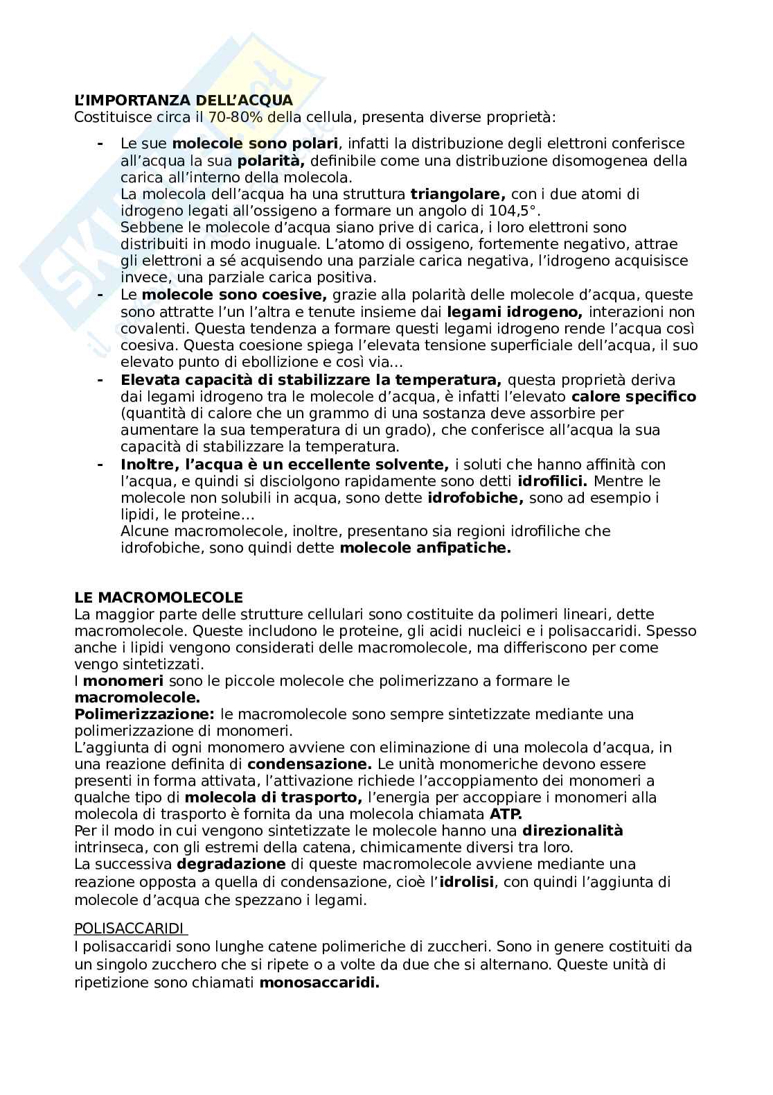 Appunti di Biologia cellulare Pag. 6