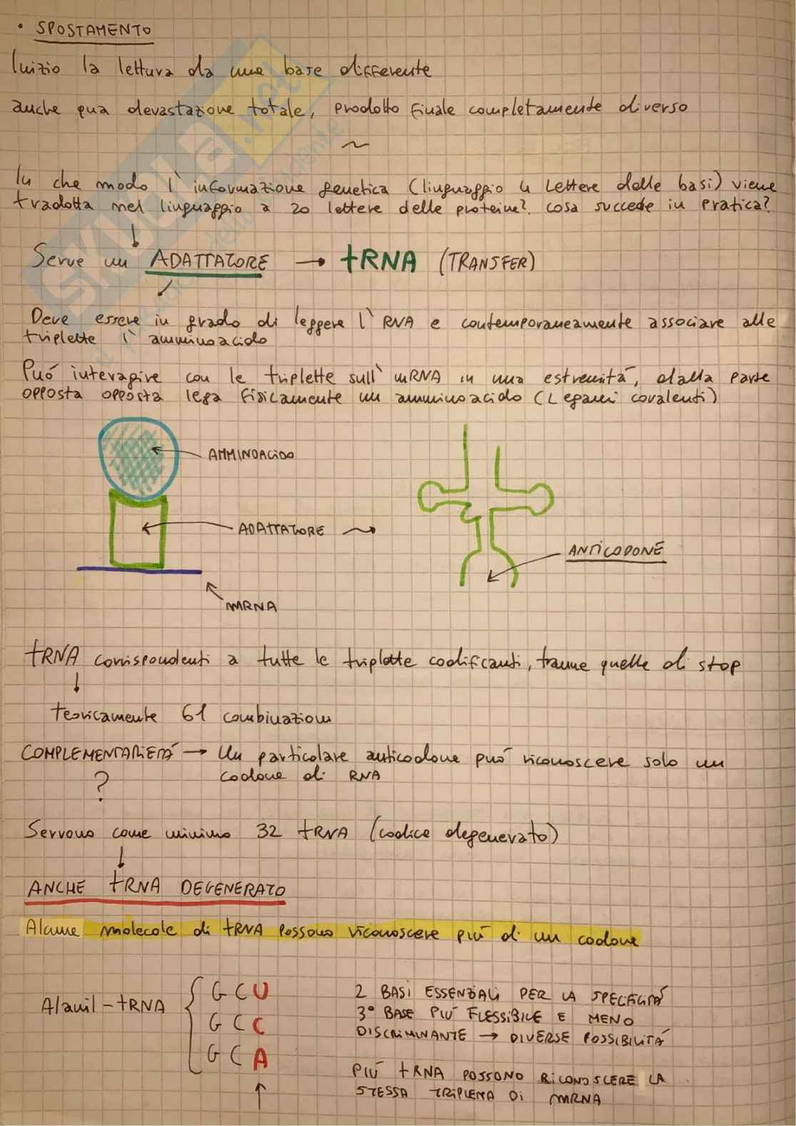 Appunti Biochimica - Parte 1 Pag. 26