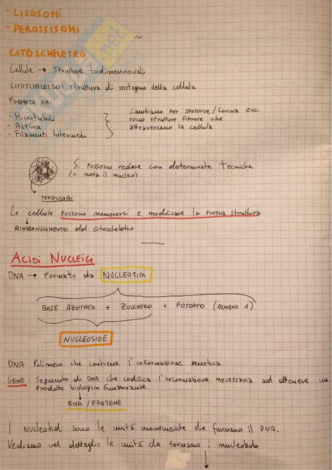Appunti Biochimica - Parte 1 Pag. 6