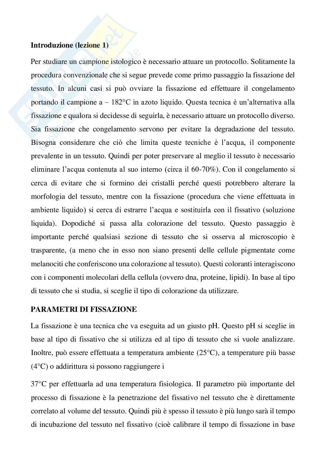 Struttura e funzione dei tessuti umani Pag. 1