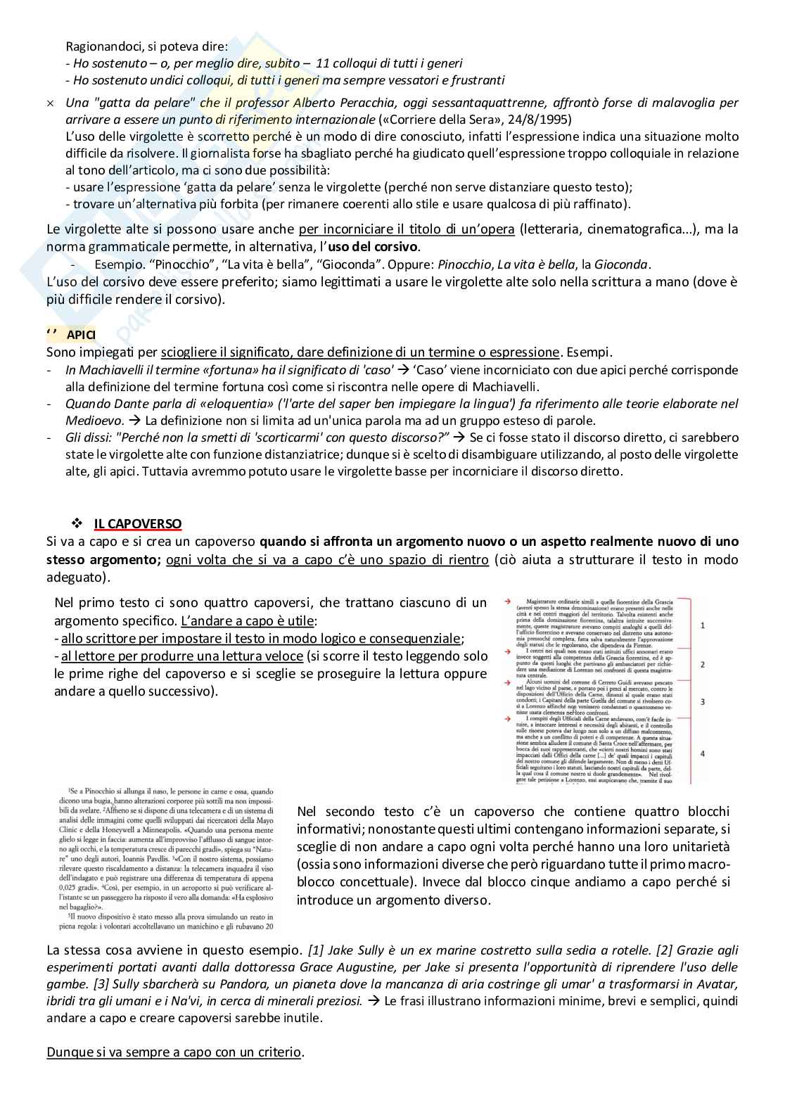 Appunti per Esame Linguistica italiana II Pag. 16