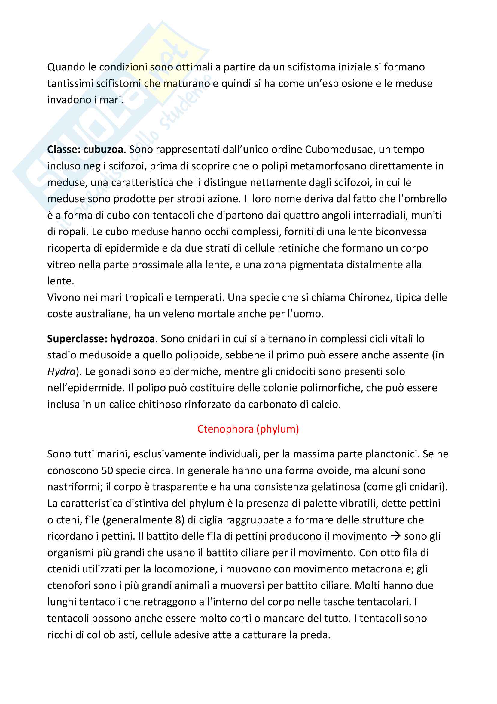 Zoologia: protozoi (tutti i gruppi), poriferi, cnidari, platelminti, nemertini Pag. 51