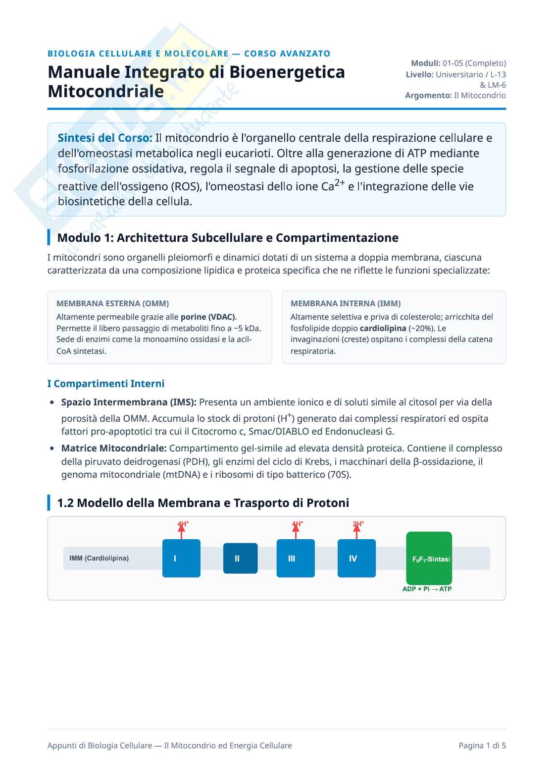 Biologia cellulare - i mitocondri  Pag. 1