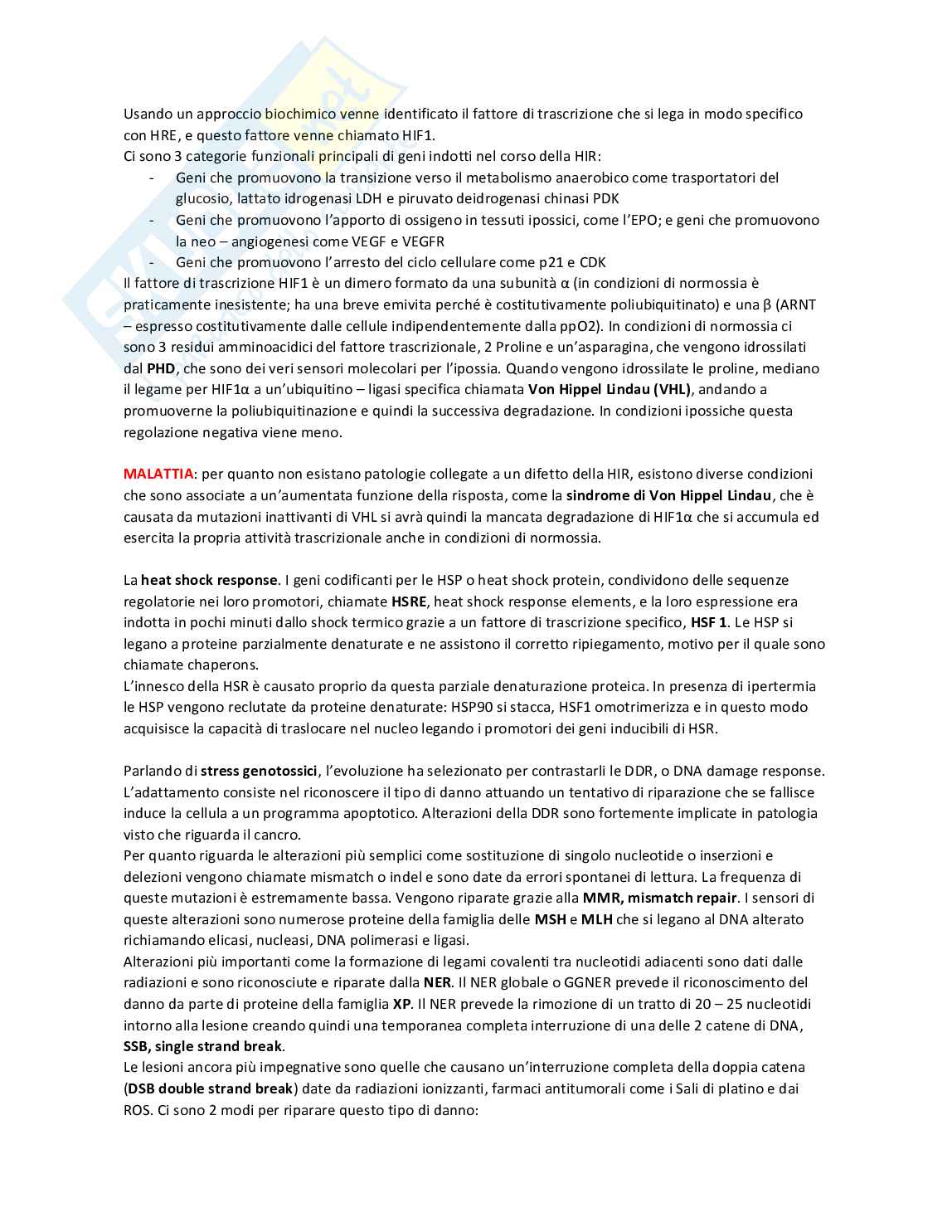 Appunti di Patologia Pag. 26