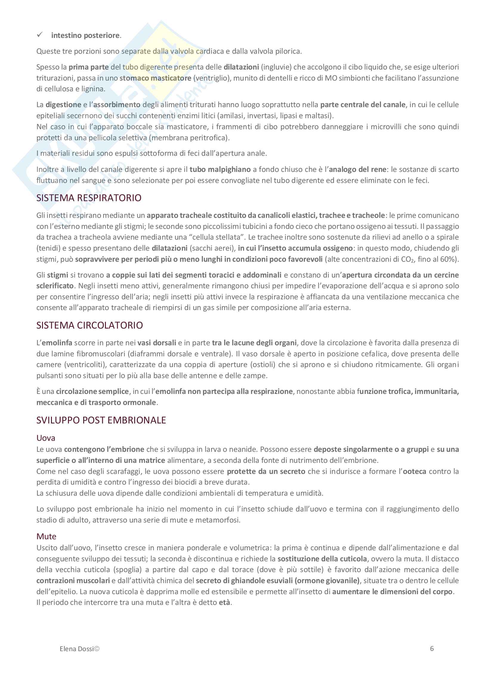Principi di difesa integrata degli infestanti Pag. 6