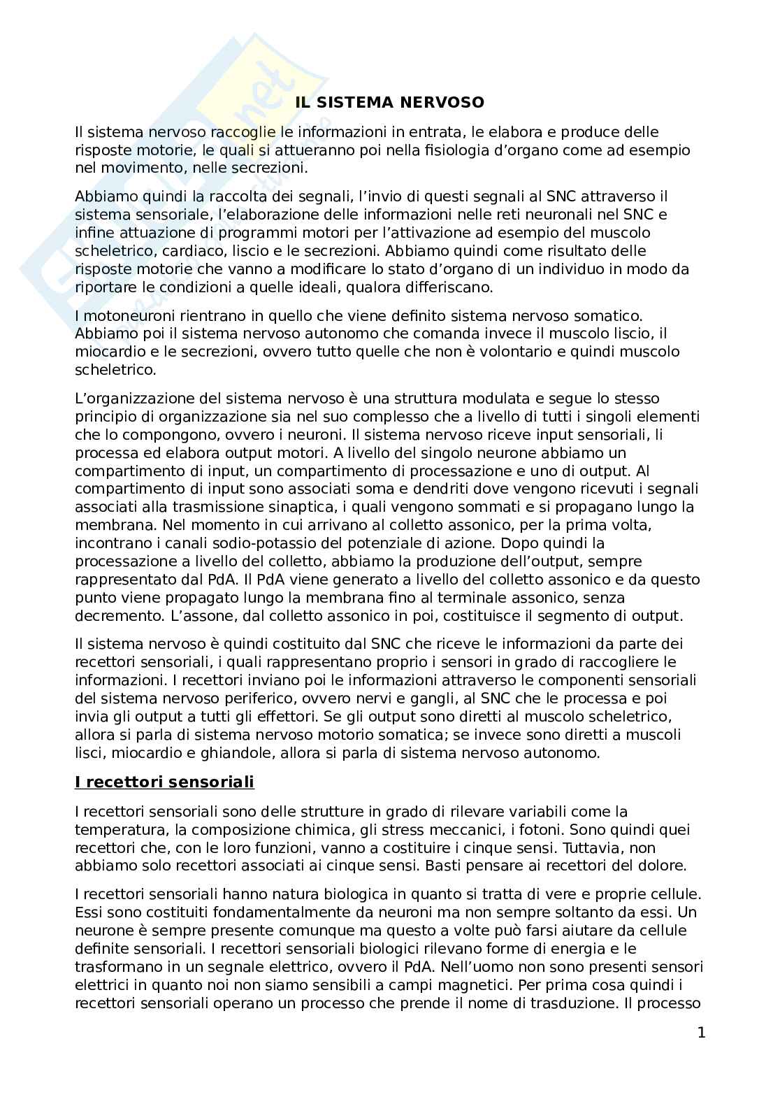 Appunti sistema nervoso Pag. 1