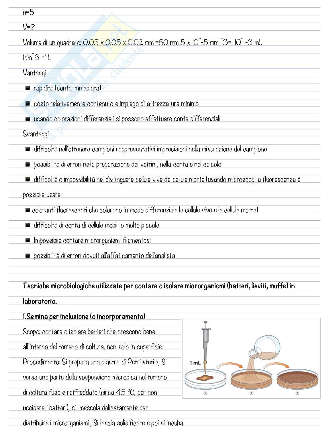 Microbiologia  Pag. 2