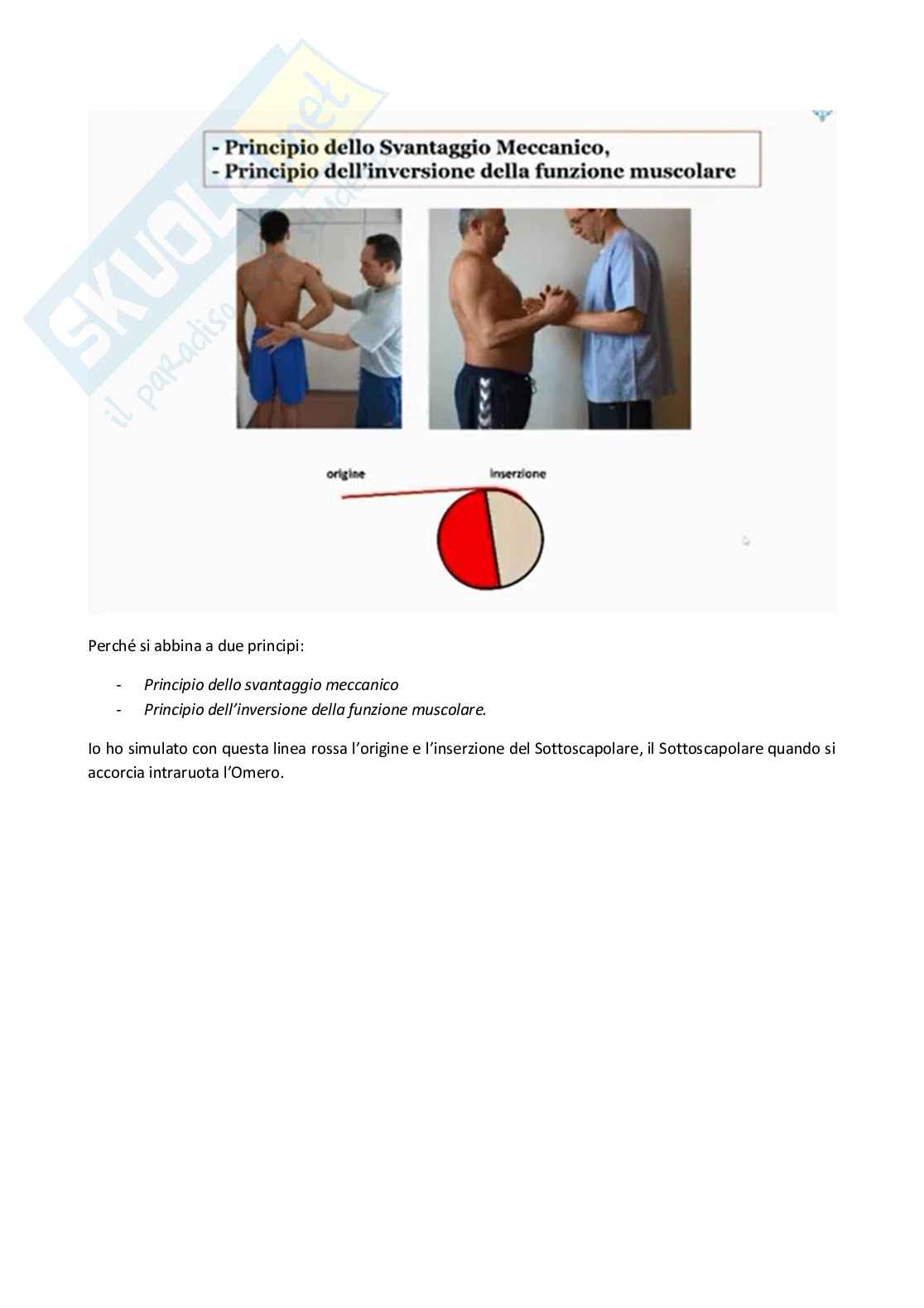 Test ortopedici per le patologie di spalla Pag. 56