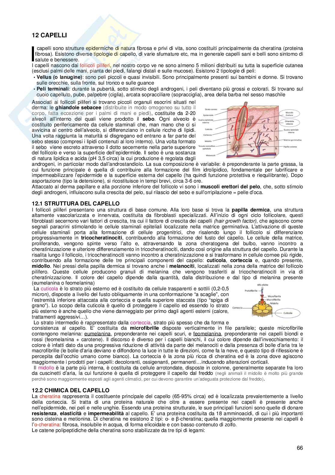 Prodotti cosmetici Pag. 66