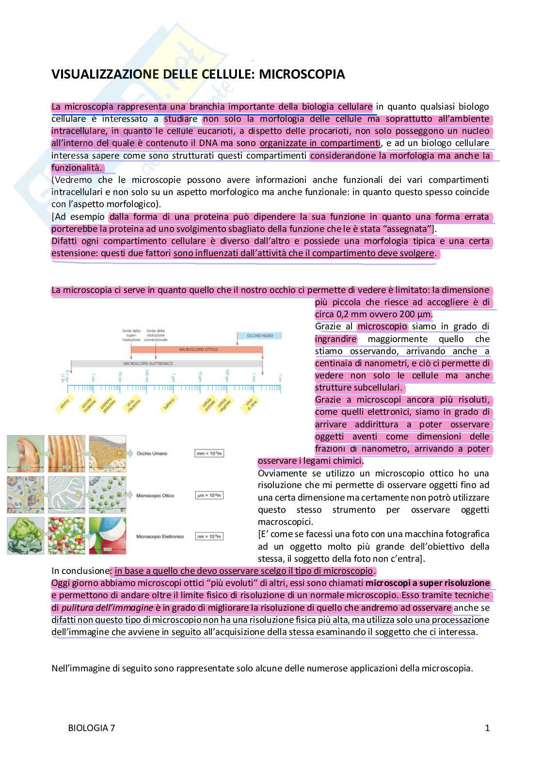 Microscopia Pag. 1