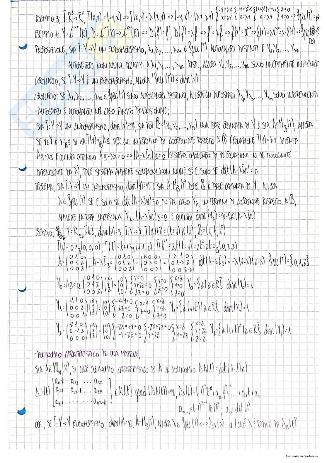 Geometria e algebra - Appunti completi Pag. 31