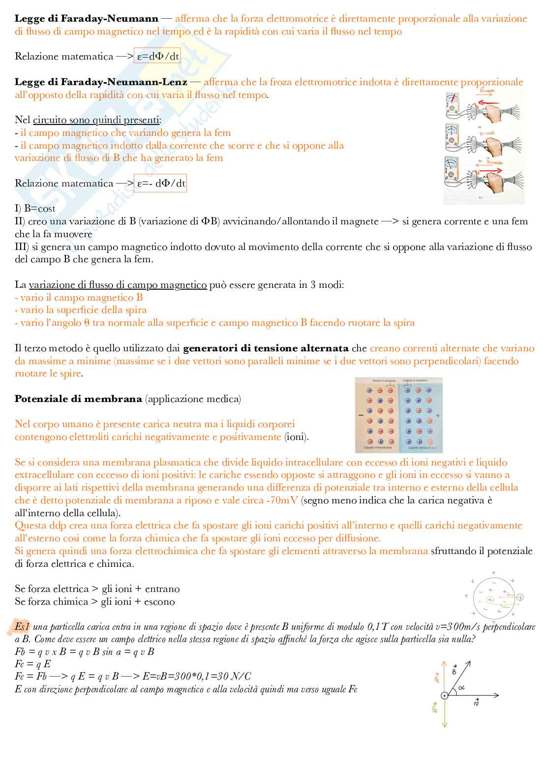 Appunti Fisica - parte 2 Pag. 26