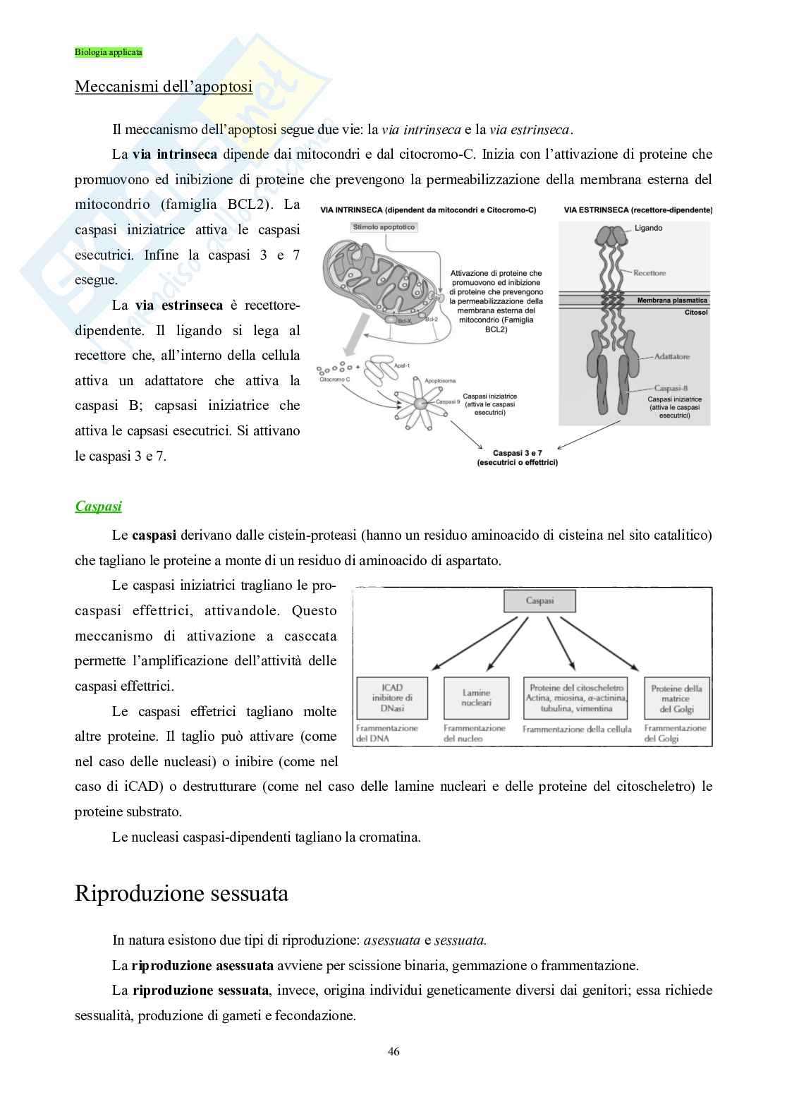 Biologia applicata - Basi molecolari della vita Pag. 46