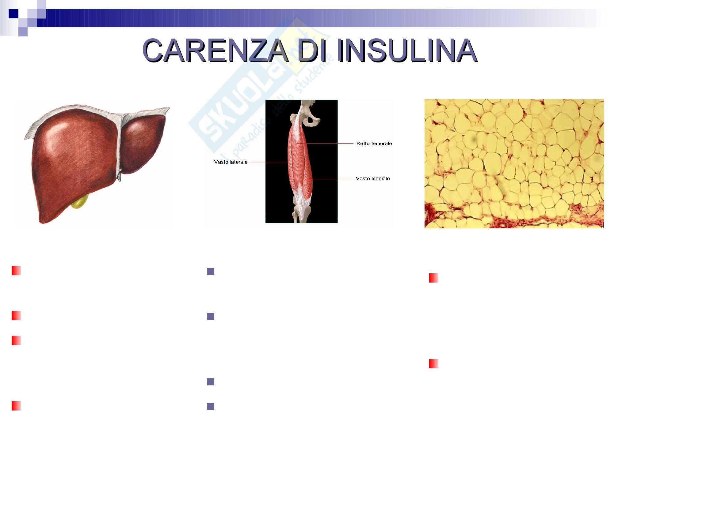 Scienze pediatriche mediche e chirurgiche - Chetoacidosi Pag. 16