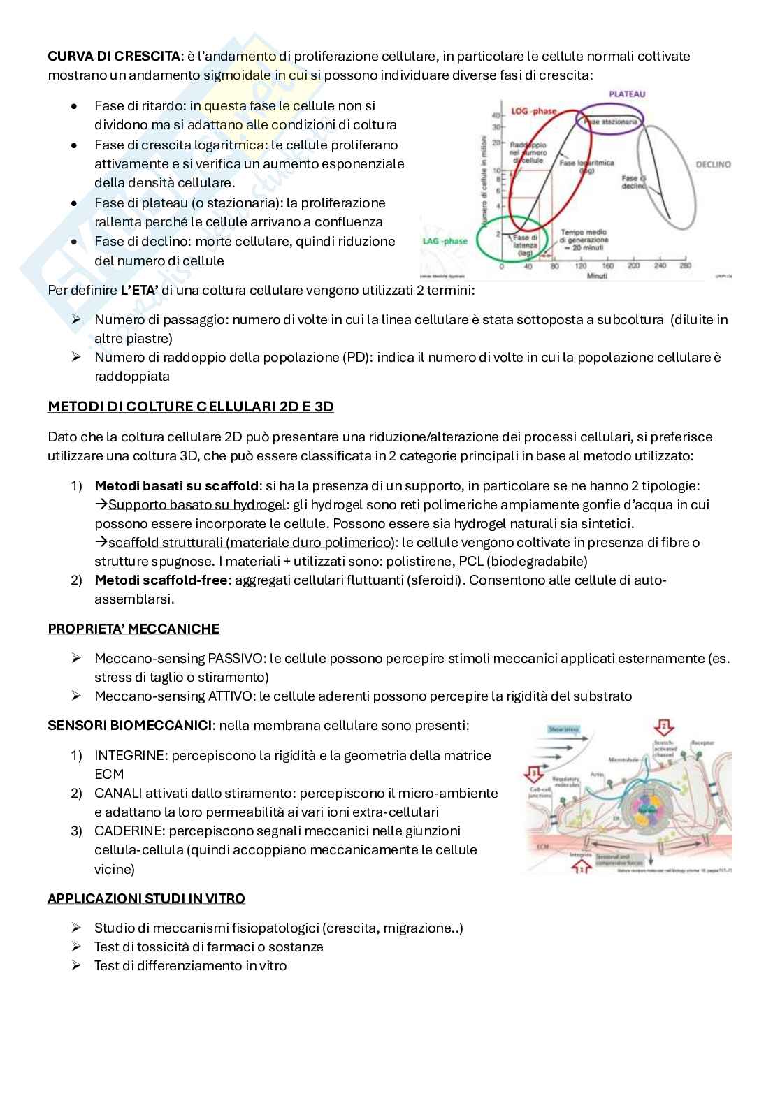 Scienze mediche applicate Pag. 11