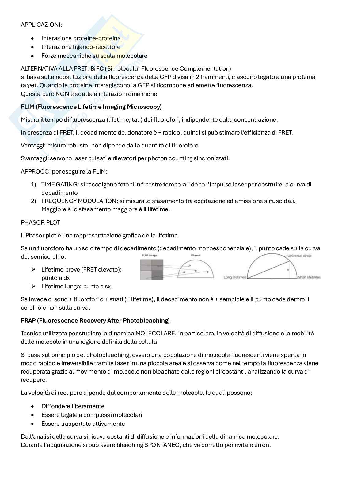 Scienze mediche applicate Pag. 41