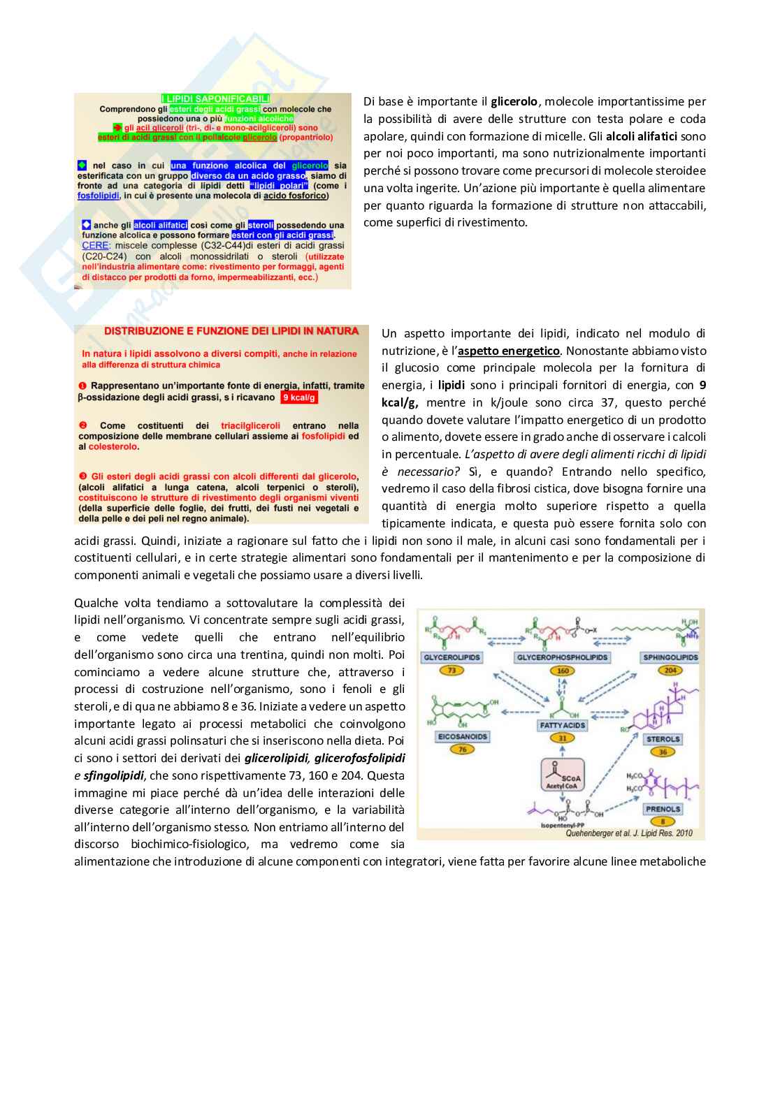 Prodotti dietetici - parte 2 Pag. 66