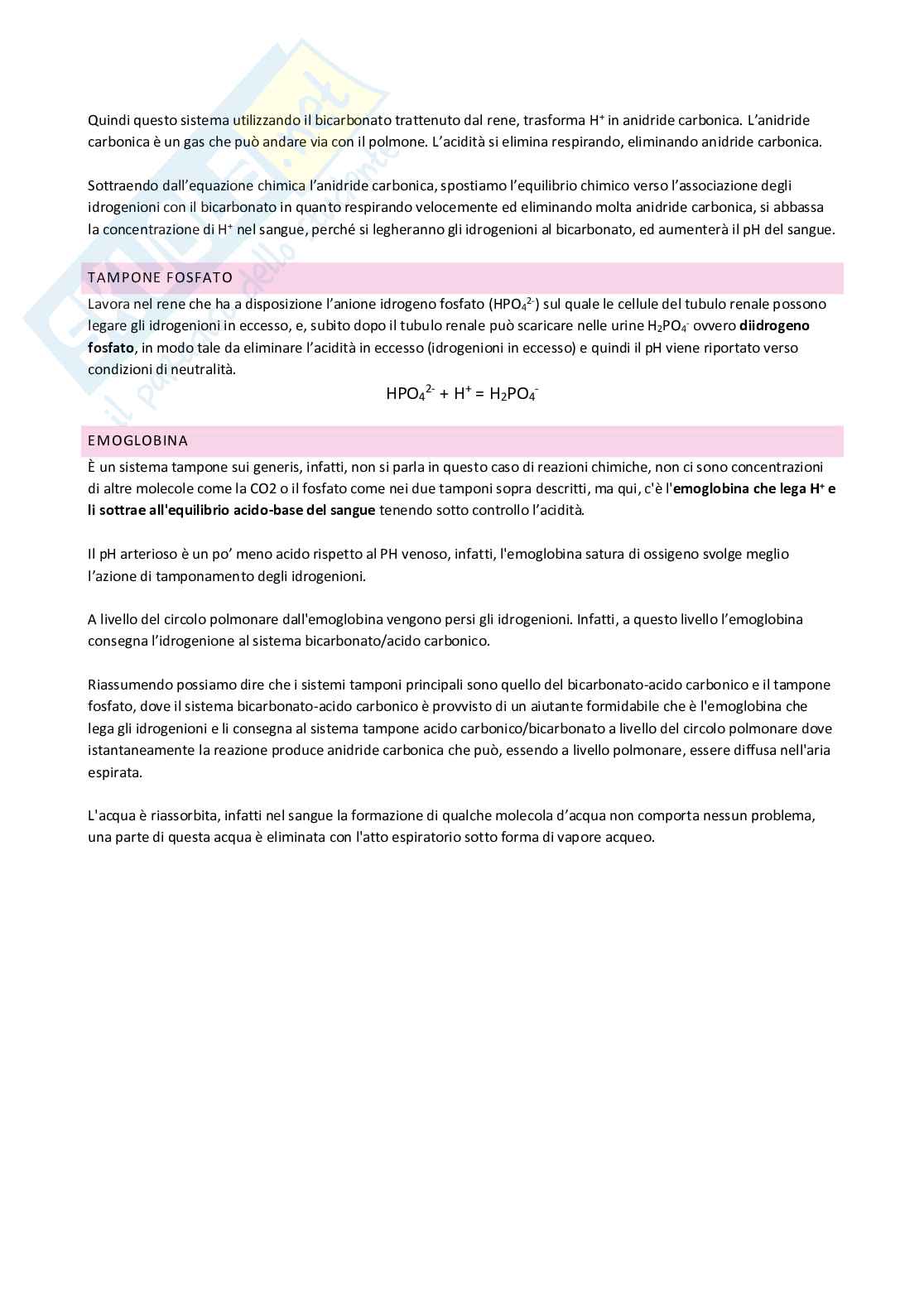 Appunti di Fisiopatologia ed immunopatologia Pag. 51