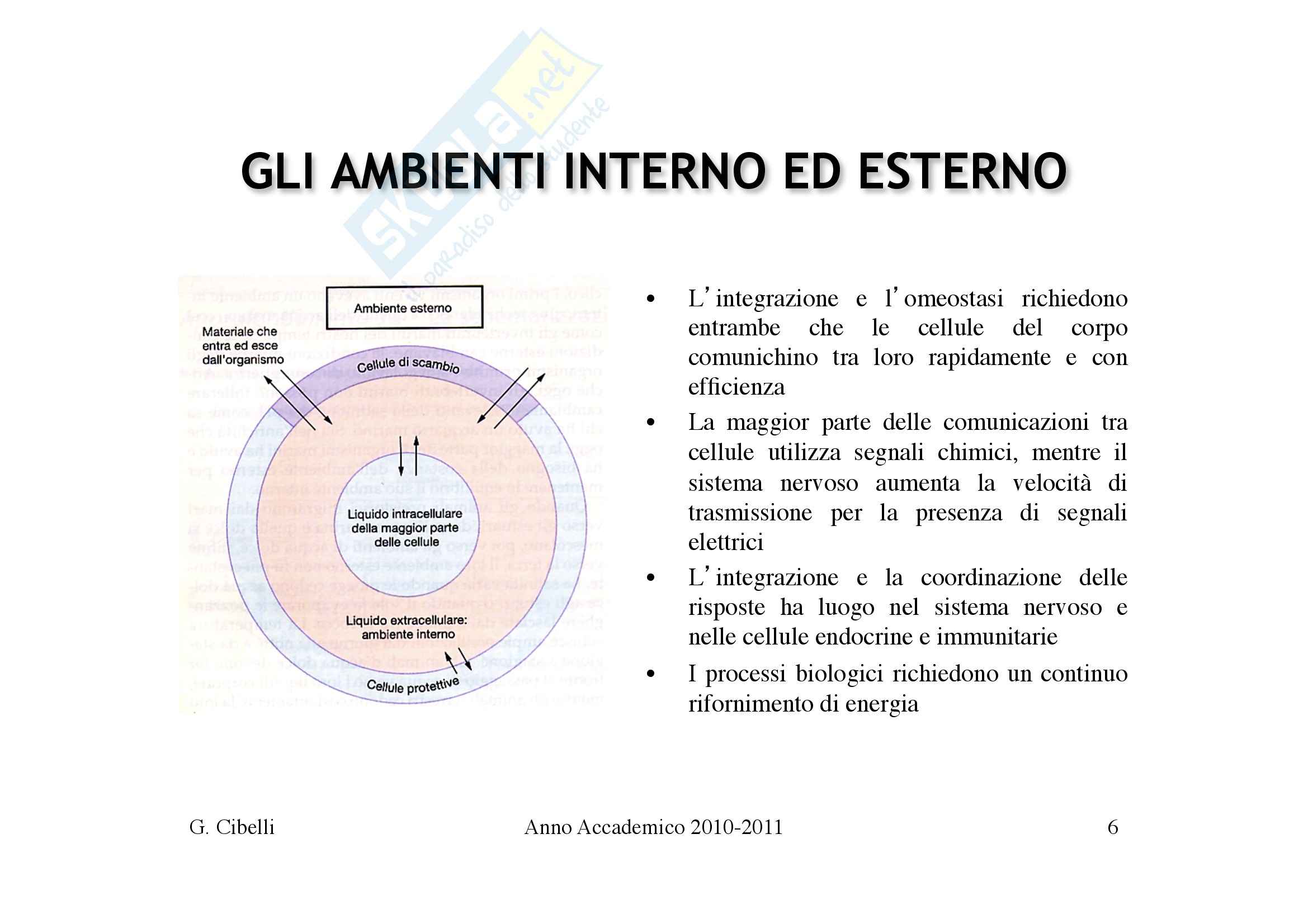 Fisiologia umana I - omeostasi e regolazioni Pag. 6