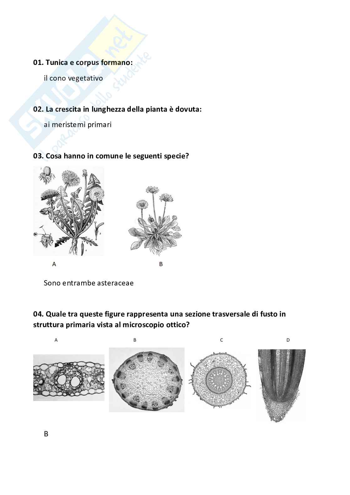 Domande chiuse + fuori paniere di Botanica e biodiversità vegetale Pag. 11