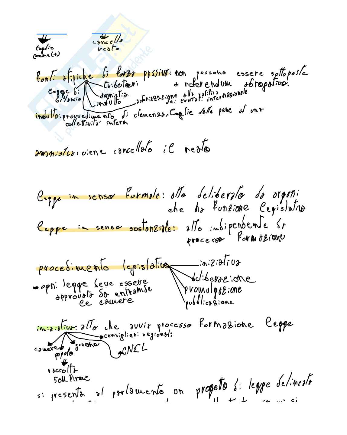 Schemi di Diritto pubblico sulle leggi Pag. 2