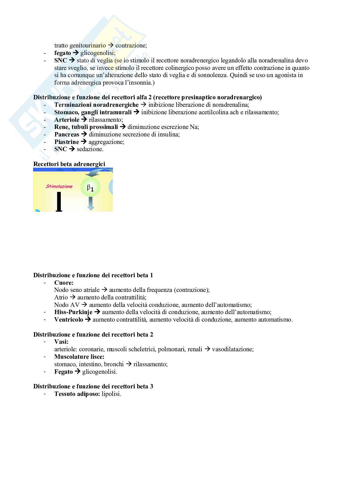 Sistema nervoso autonomo  Pag. 16