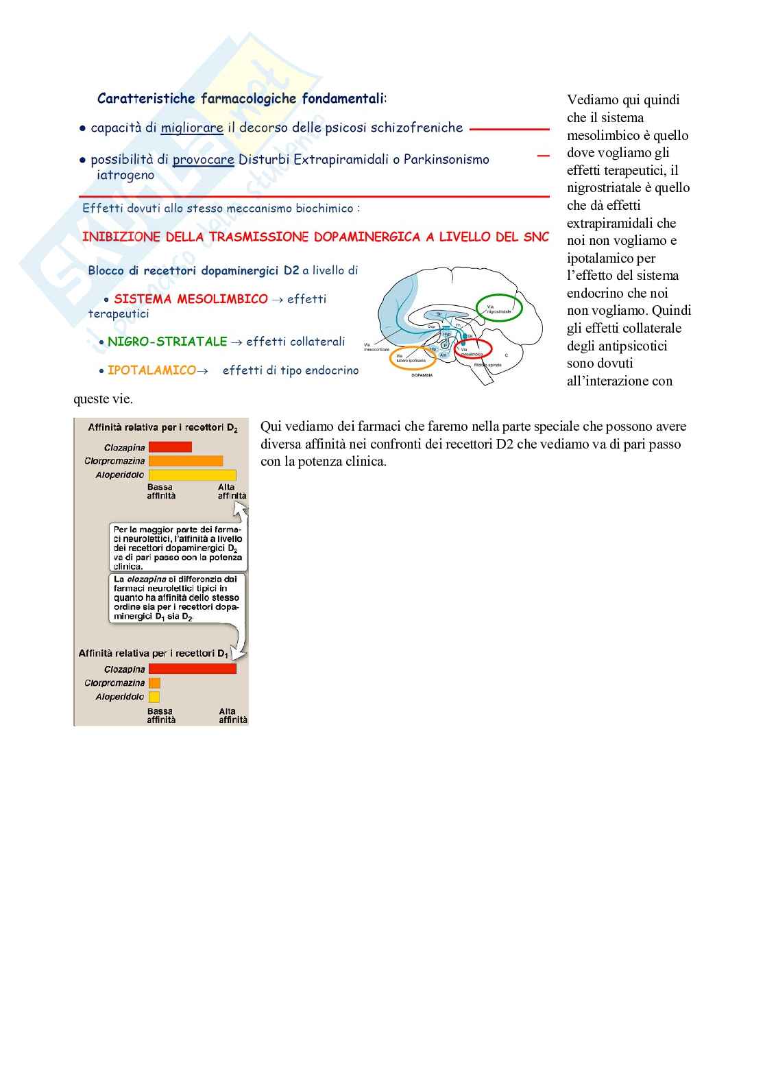 Sistema nervoso autonomo  Pag. 41