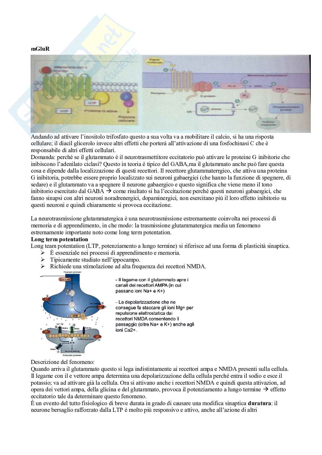 Sistema nervoso autonomo  Pag. 61
