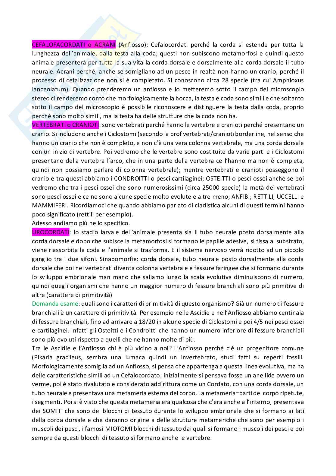 Anatomia comparata dei vertebrati Pag. 11
