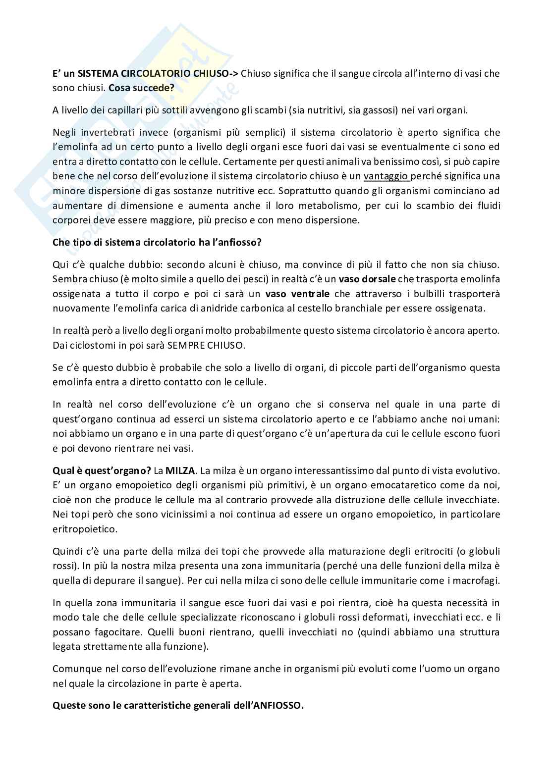 Anatomia comparata dei vertebrati Pag. 16