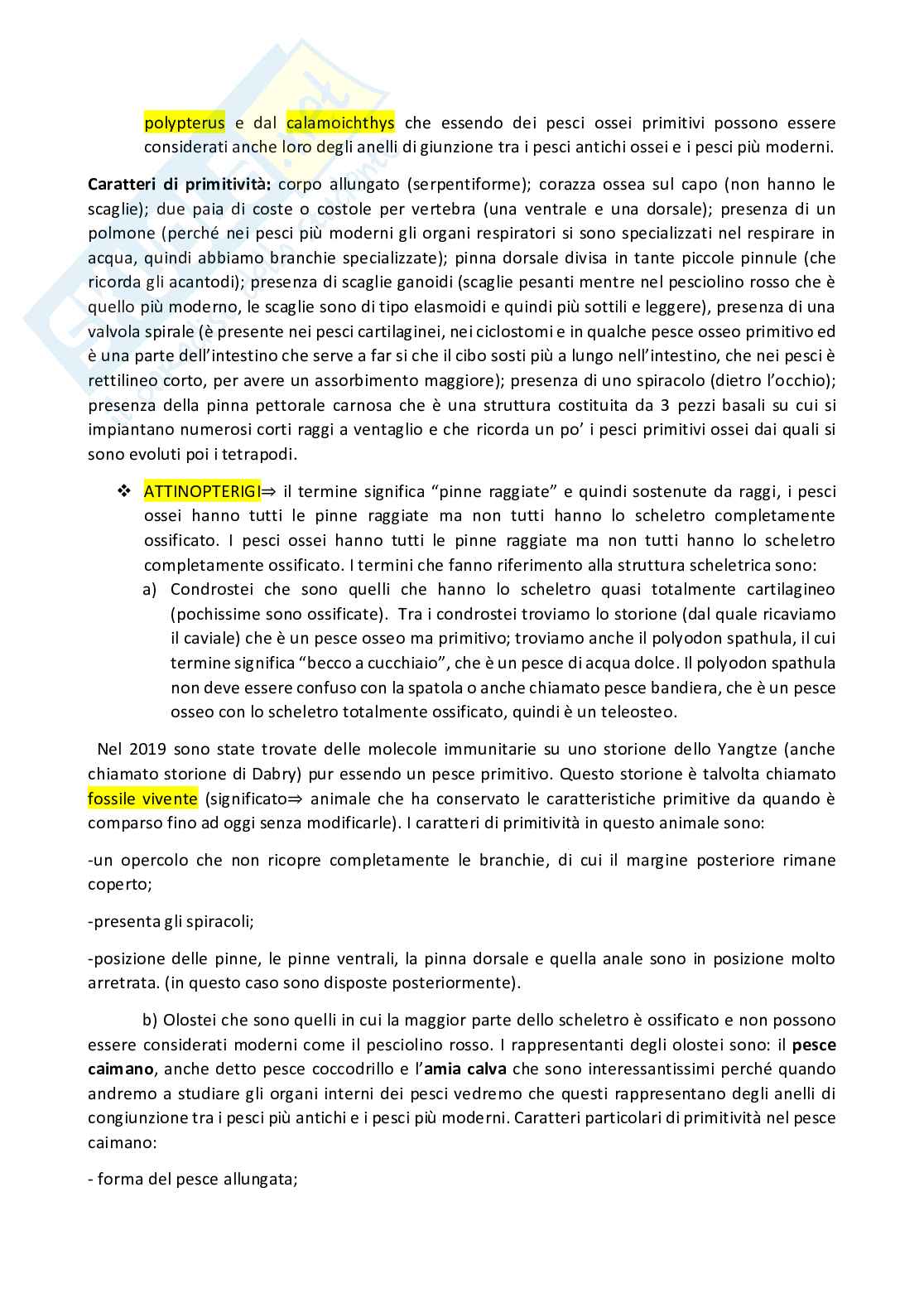 Anatomia comparata dei vertebrati Pag. 26