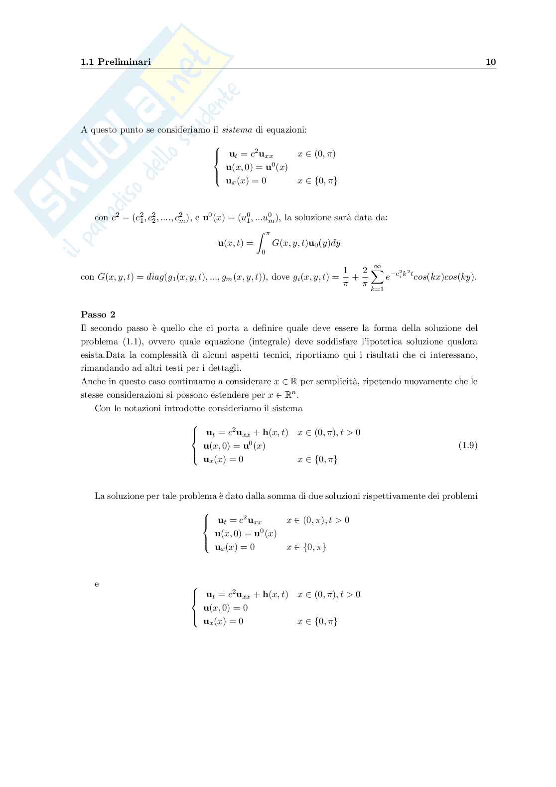 Un'analisi sui sistemi di Reazione-Diffusione Pag. 11