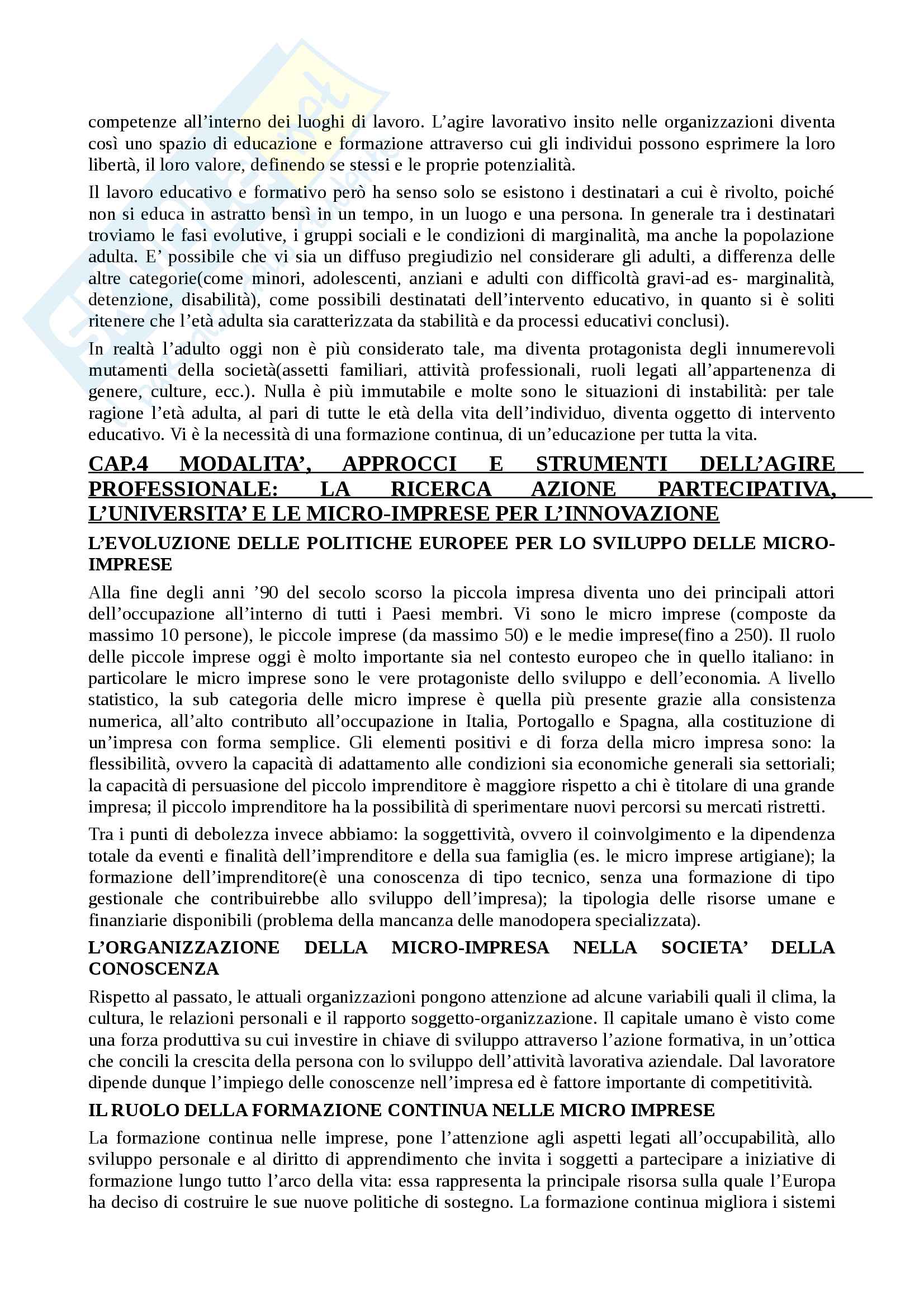 Riassunto esame attività coordinative di supervisione del tirocinio, Prof.ssa Buccolo, Testo consigliato Formar-Si alle professioni educative e formative. Università, lavoro e  sviluppo dei talenti, Maria Buccolo Pag. 11