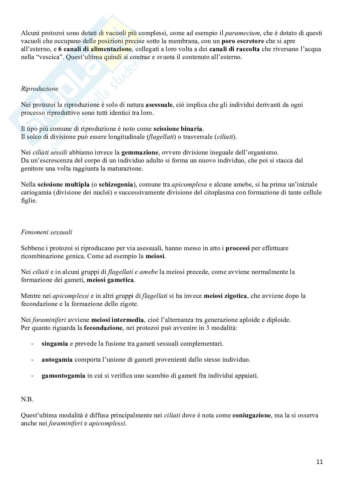 Zoologia Pag. 11