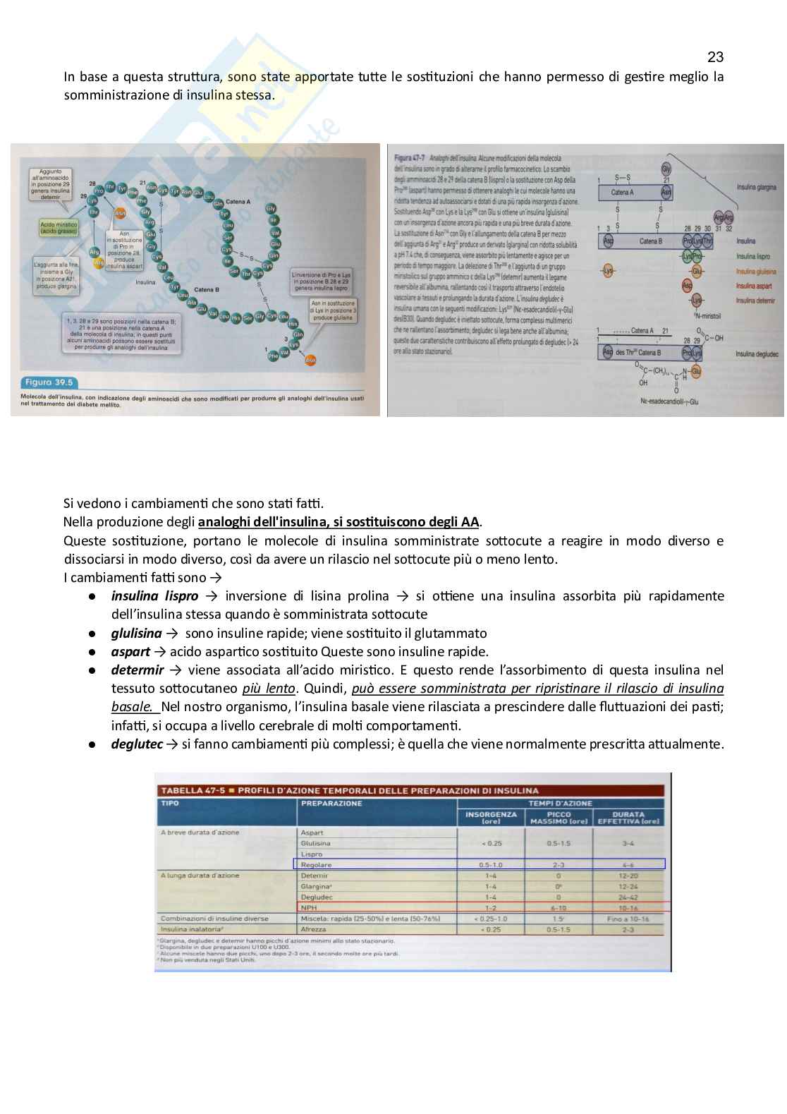 Farmacoterapia 2 - Parte 2.3 di 4 sul diabete Pag. 1