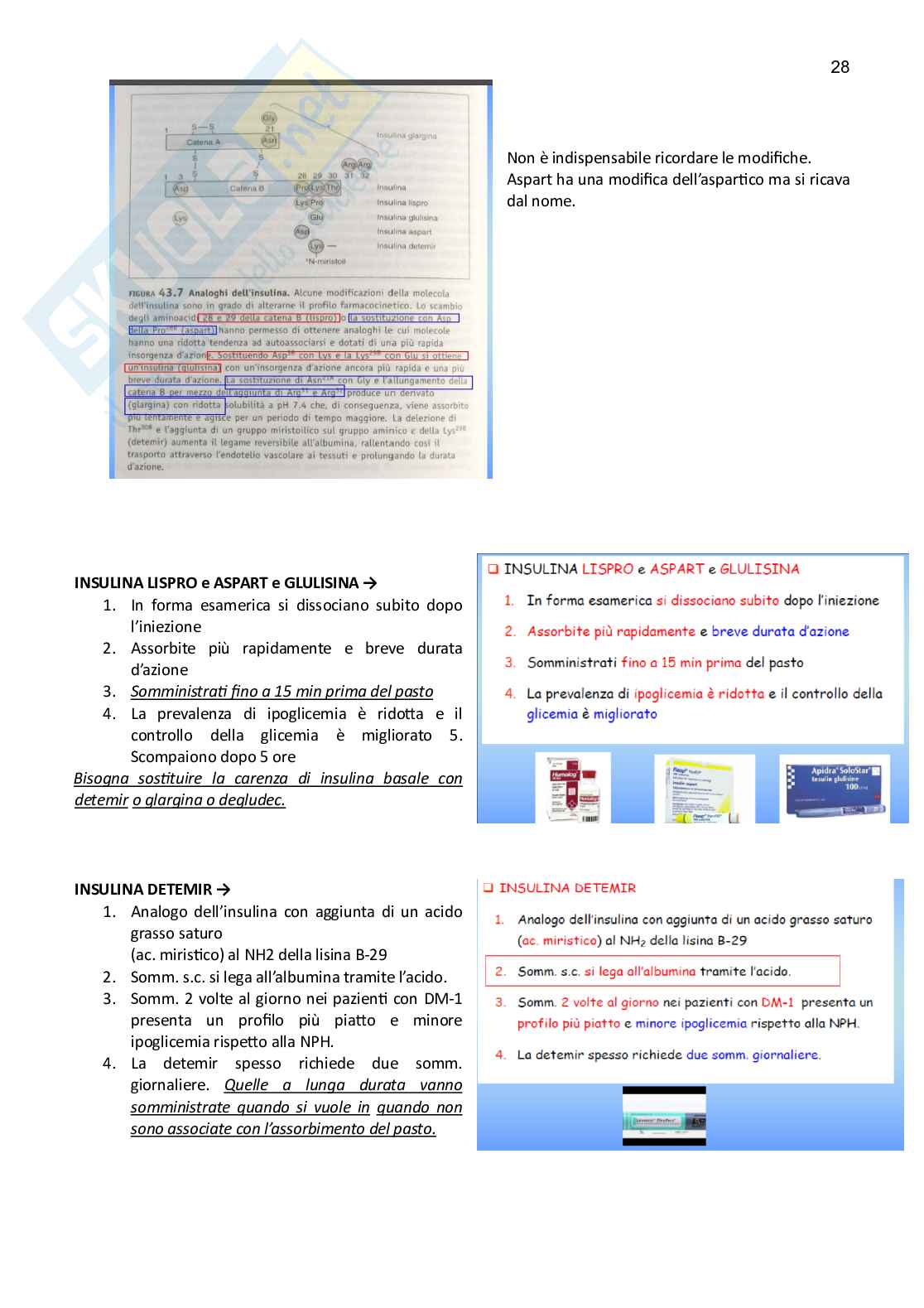 Farmacoterapia 2 - Parte 2.3 di 4 sul diabete Pag. 6