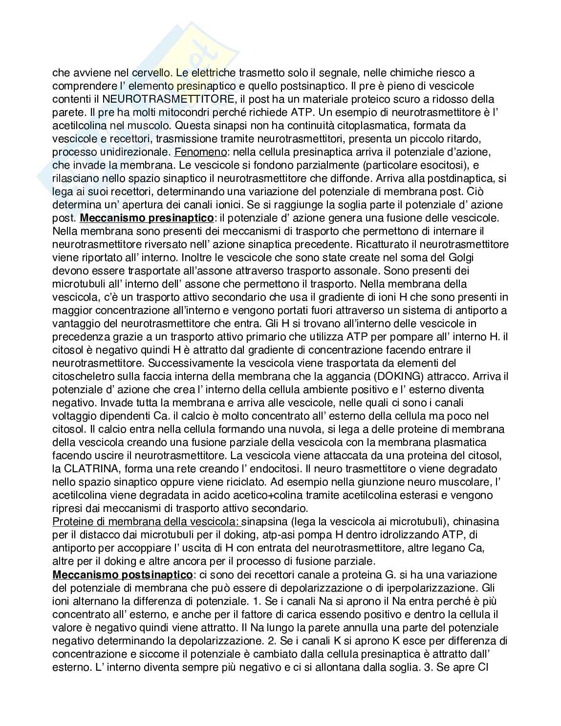 Fisiologia umana Pag. 6