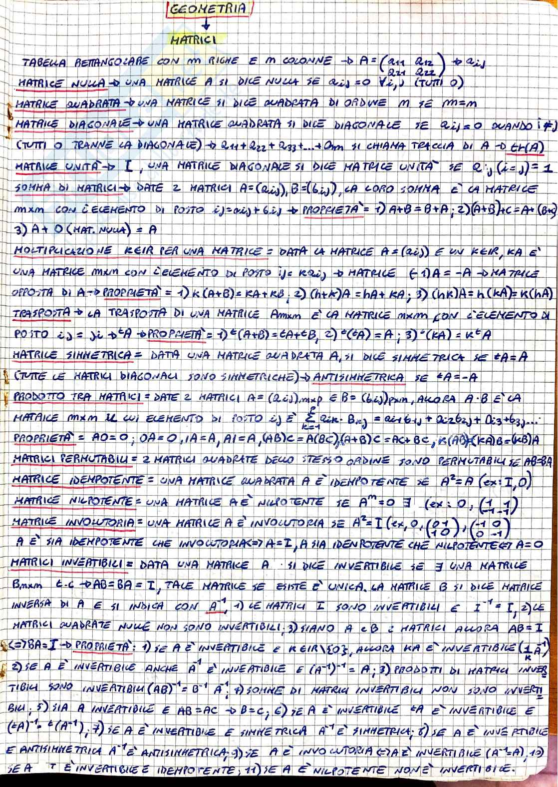 Appunti Geometria Pag. 1