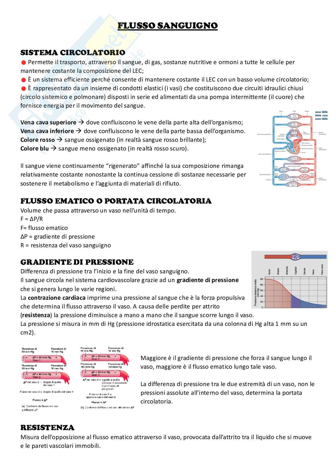 Flusso sanguigno Pag. 1