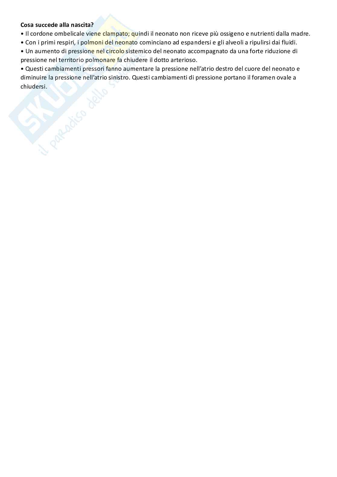 Flusso sanguigno Pag. 16