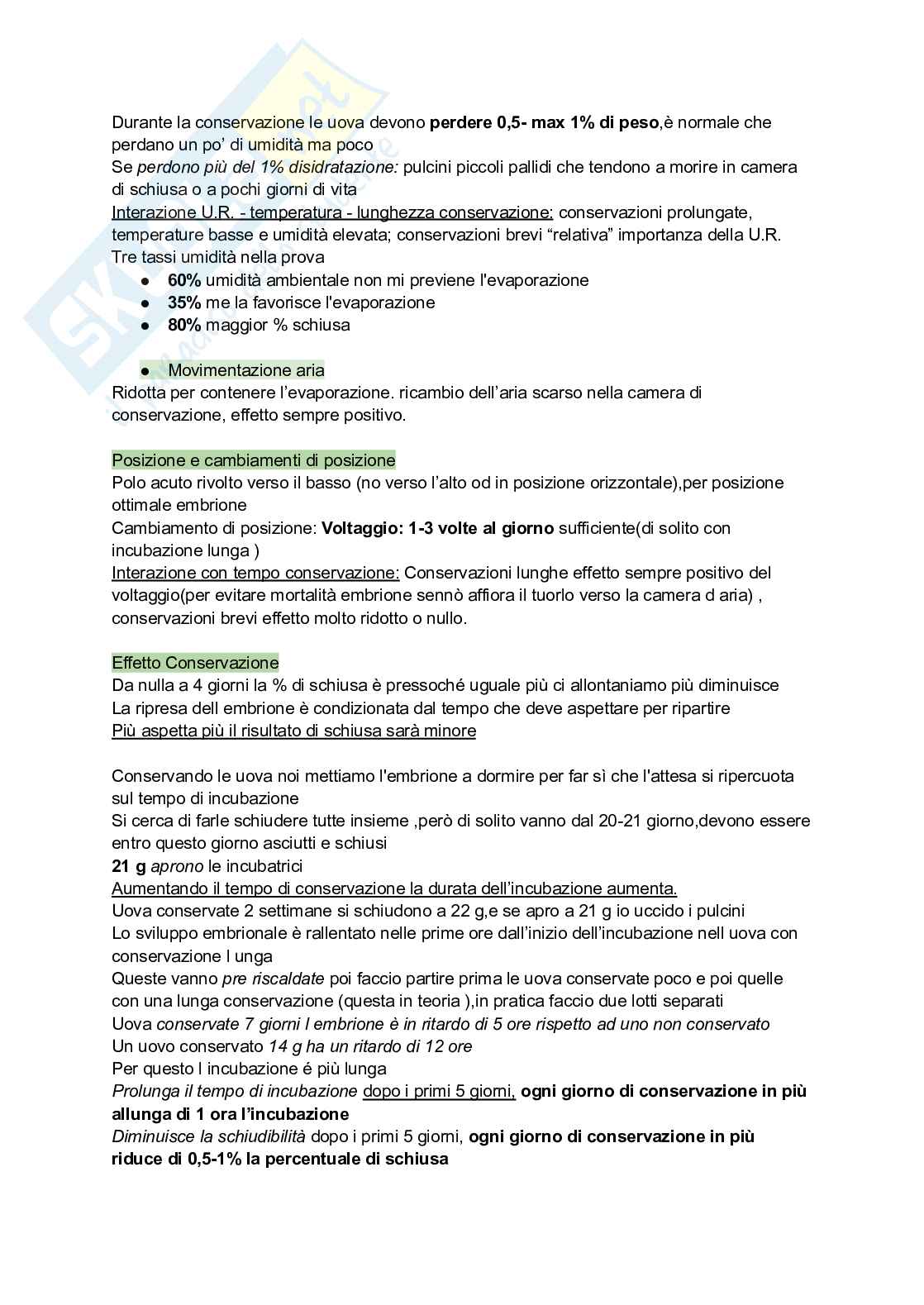 Alleva avicoli e conigli  Pag. 66