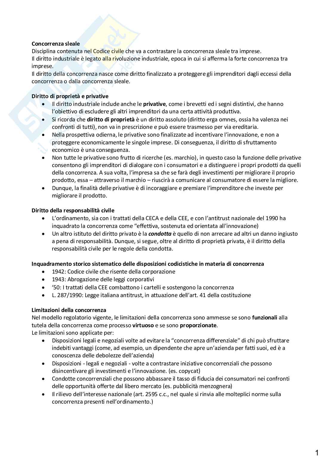 Appunti di Diritto industriale e della concorrenza - Tradotti dal legalese in italiano Pag. 1