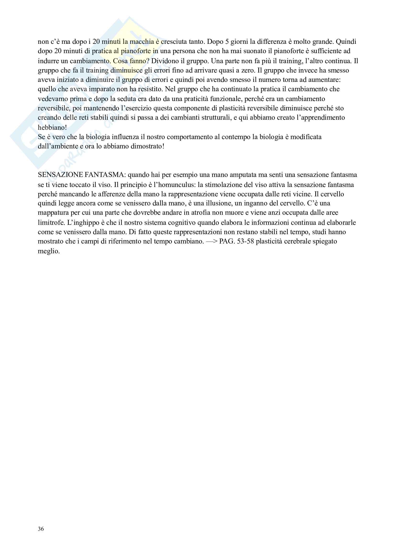 Appunti e riassunto dettagliati esame Psicobiologia, Neuroscienze e Contesti Educativi, prof. Moro Pag. 36